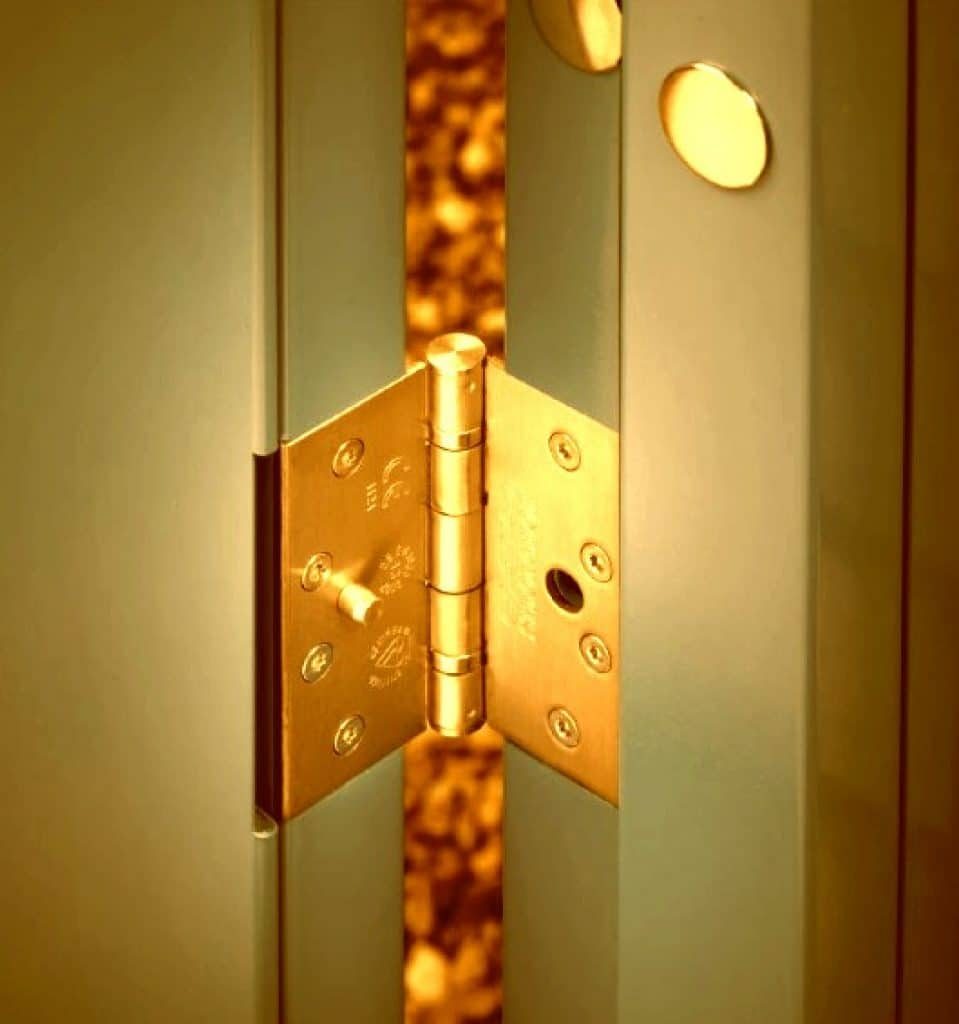 Secure Door Hinges