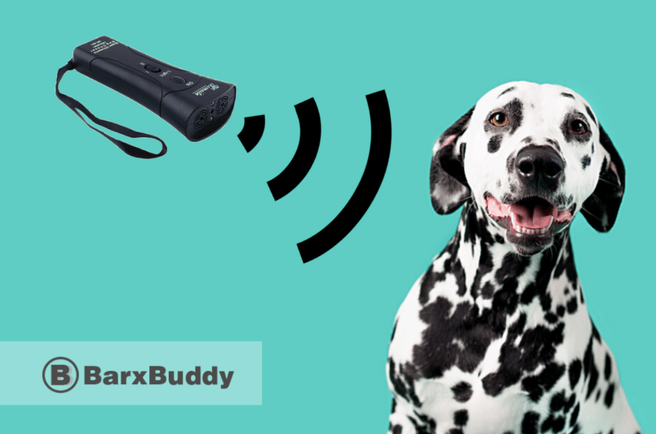 BarxBuddy Review: Does it really work?