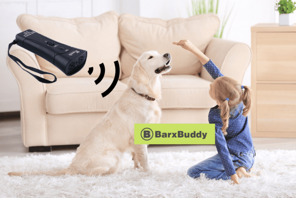 train your dog with BarxBuddy